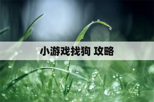 小游戏找狗 攻略